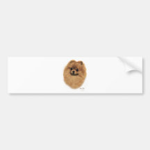 Pomeranian Bumper Sticker