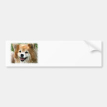 Pomeranian Bumper Sticker