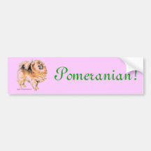 Pomeranian! Bumper Stickers