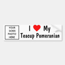Pomeranian Bumper Stickers
