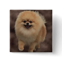 Pomeranian buttons