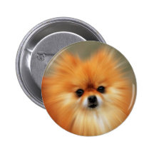 Pomeranian Button