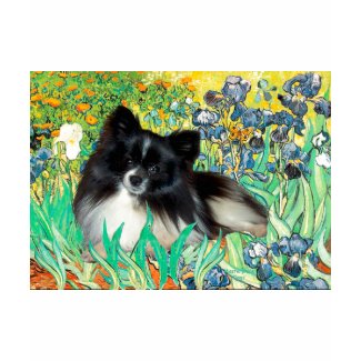 Pomeranian (BW) - Irises shirt