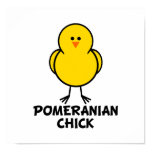 Pomeranian Chick Pomeranian Chick