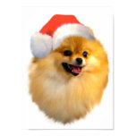 Pomeranian Christmas Poster Print Pomeranian Christmas Poster Print