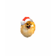 Pomeranian Christmas Shirt shirt
