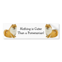 Pomeranian Cuteness Bumper Sticker bumper stickers by twopurringcats Pomeranian Cuteness Bumper Sticker bumper stickers