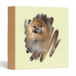 Pomeranian Design Binder binders