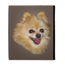Pomeranian Dog Caseable iPad Folio Case