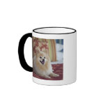 Pomeranian dog in pet friendly hotel room mugs