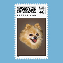 Pomeranian Dog on Brown Postage Stamp stamps