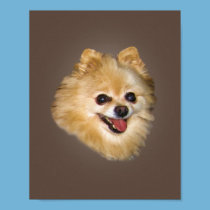 Pomeranian Dog on Brown Print
