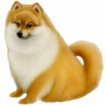 Pomeranian Dog Ornament photo sculptures