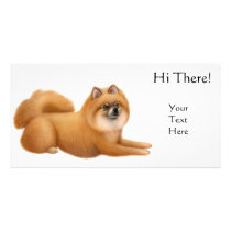 Pomeranian Dog Photo Card photo cards