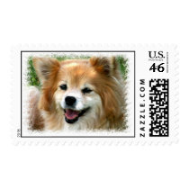 Pomeranian Dog Postage Stamp