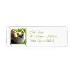 Pomeranian Dog Return Address Label
