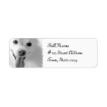 Pomeranian Dog Return Address Mailing Label