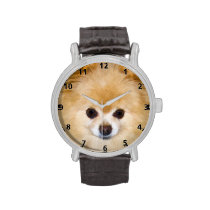 Pomeranian Dog Wristwatches at Zazzle