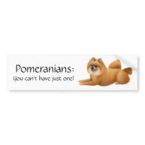 Pomeranian Dogs Bumper Sticker bumper stickers by twopurringcats Pomeranian Dogs Bumper Sticker bumper stickers