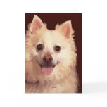 Pomeranian Face Greeting Card Pomeranian Face Greeting Card