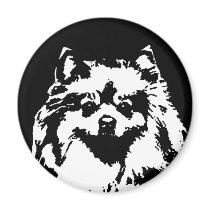 Pomeranian Geschenke - Magnet by pupaya Pomeranian Geschenke - Magnet
