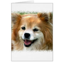 Pomeranian Greeting Card