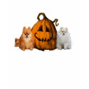 Pomeranian Halloween Kids Unisex T-Shirt by normagolden Pomeranian Halloween Kids Unisex T-Shirt