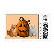 Pomeranian Halloween Postage Stamp