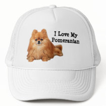 Pomeranian Hat by normagolden Pomeranian Hat