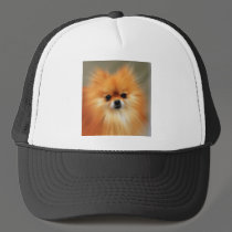 Pomeranian hats by beverlytazangel Pomeranian hats