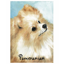 Pomeranian Head Study Dog Art T Shirt by CharlottesWebArt Pomeranian Head Study Dog Art T Shirt