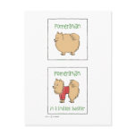 Pomeranian in a Knitted Sweater postcards
