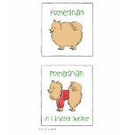 Pomeranian in a Knitted Sweater Tshirt