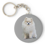 Pomeranian Keychain