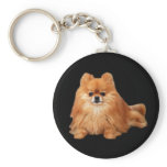 Pomeranian Keychain