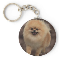 Pomeranian Key Chain