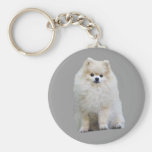 Pomeranian Keychain