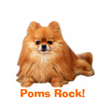Pomeranian Kids T-Shirt