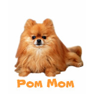 Pomeranian Ladies T-shirt shirt