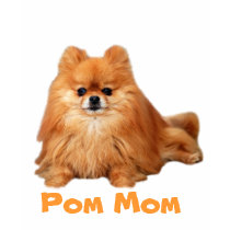 Pomeranian Ladies T-shirt by normagolden Pomeranian Ladies T-shirt