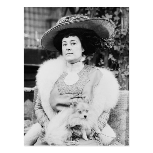 Pomeranian Lady Post Cards