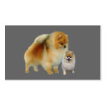 Pomeranian Lover Business Card
