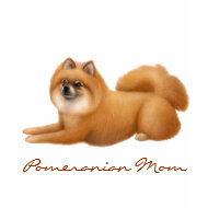 Pomeranian Mom Ladies Baby Doll Shirt shirt