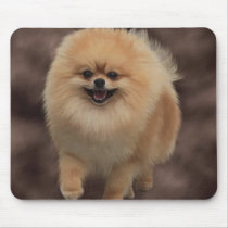 Pomeranian mousepads by Cazzies_Creations Pomeranian mousepads