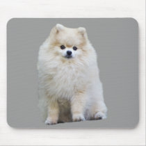 Pomeranian Mousepad by normagolden Pomeranian Mousepad
