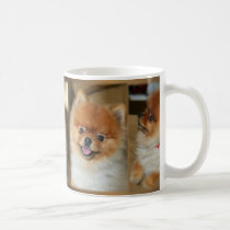 Pomeranian Mug by lauriewawa Pomeranian Mug
