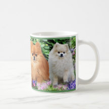 Pomeranian Mug