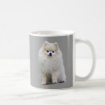 Pomeranian Mug