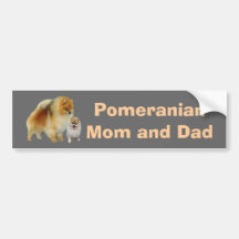 Pomeranian Pals Bumper Sticker