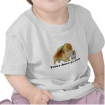Pomeranian Pals Toddler Unisex Shirt
